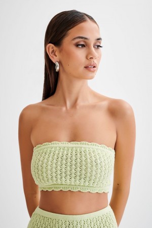 Meshiki Serina Knit Crop Verde | XVDS4257